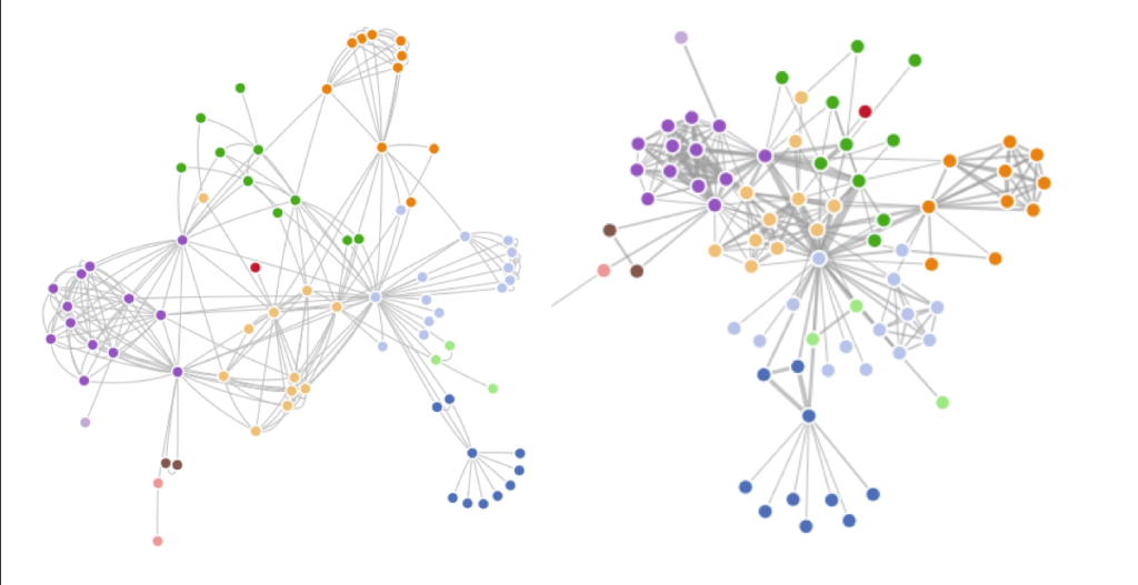 screenshot of network graphs